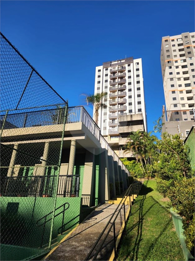 Foto REO1182966