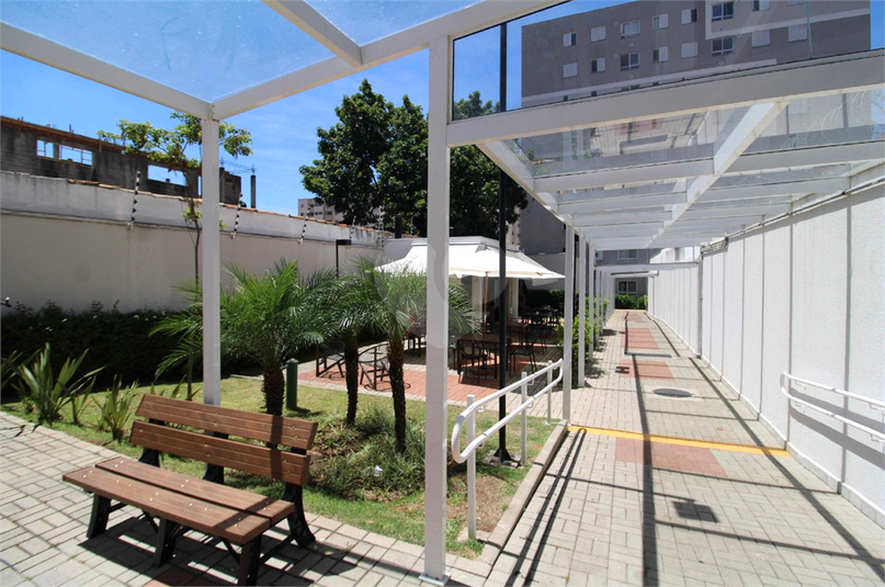 Foto REO1182970