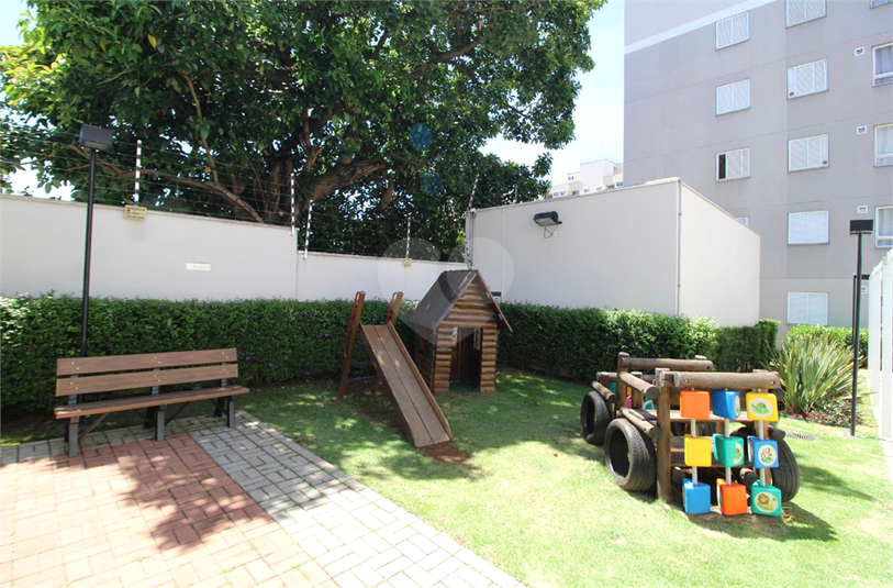 Foto REO1182970