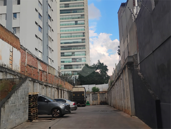 Foto REO1182979