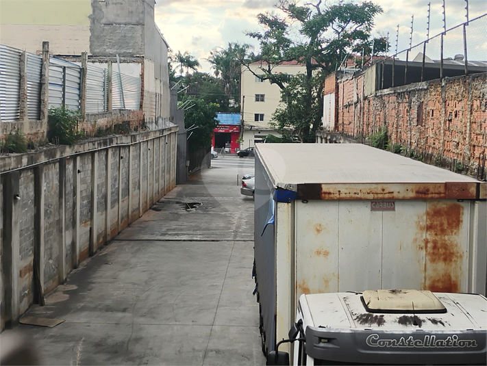 Foto REO1182979