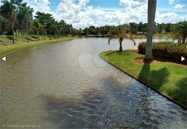 Foto REO1182980