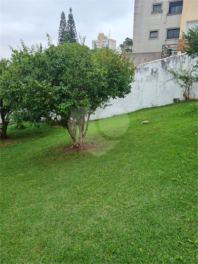 Foto REO1182990