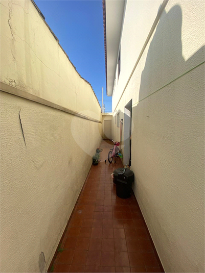 Foto REO1182995