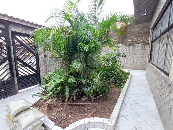 Foto REO1182997