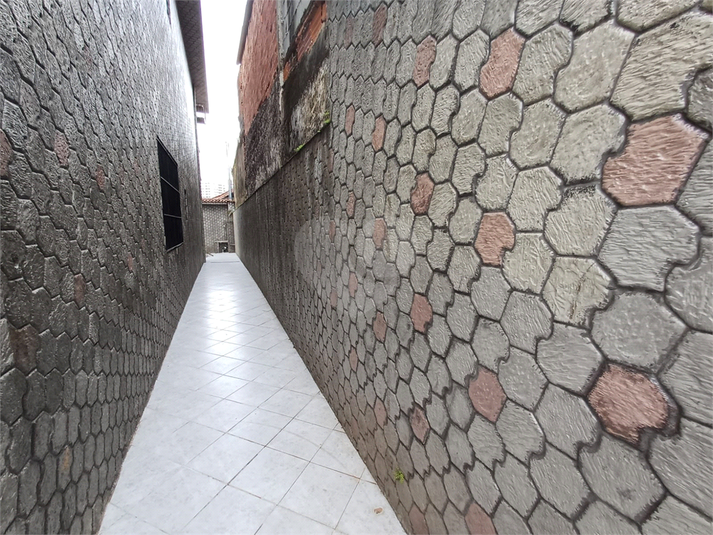 Foto REO1182997