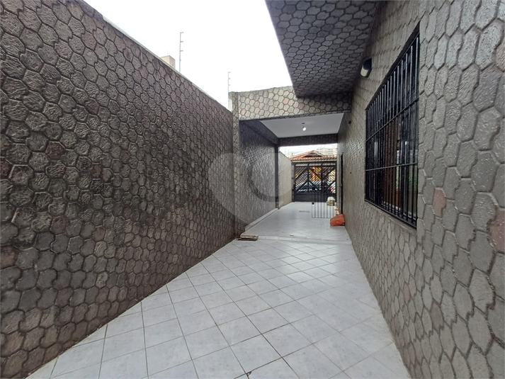 Foto REO1182997