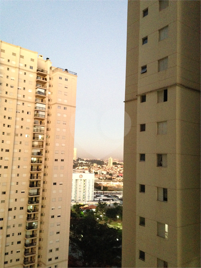 Foto REO1183034