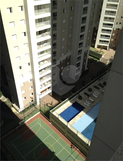 Foto REO1183034