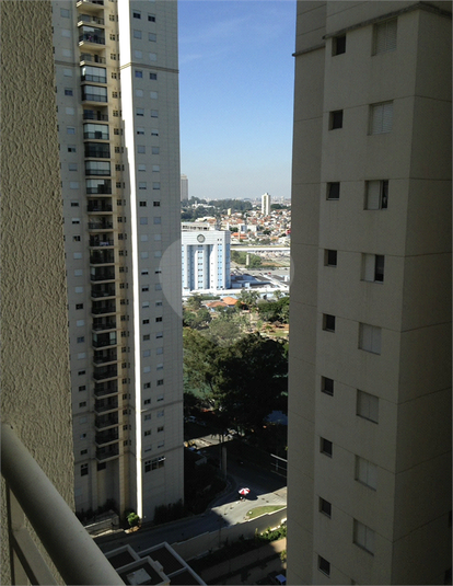 Foto REO1183034