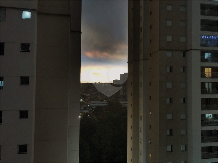 Foto REO1183034