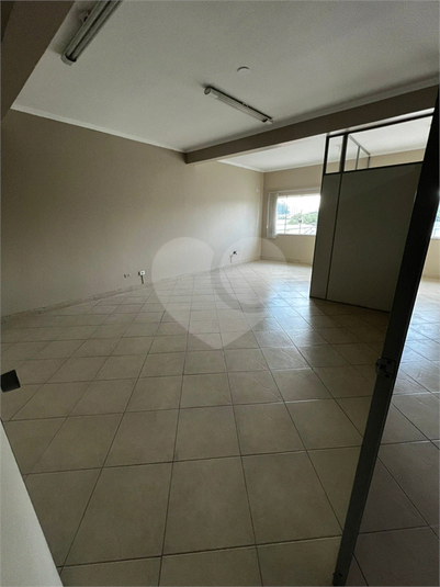 Foto REO1183052