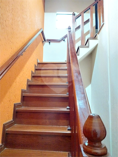 Foto REO1183053
