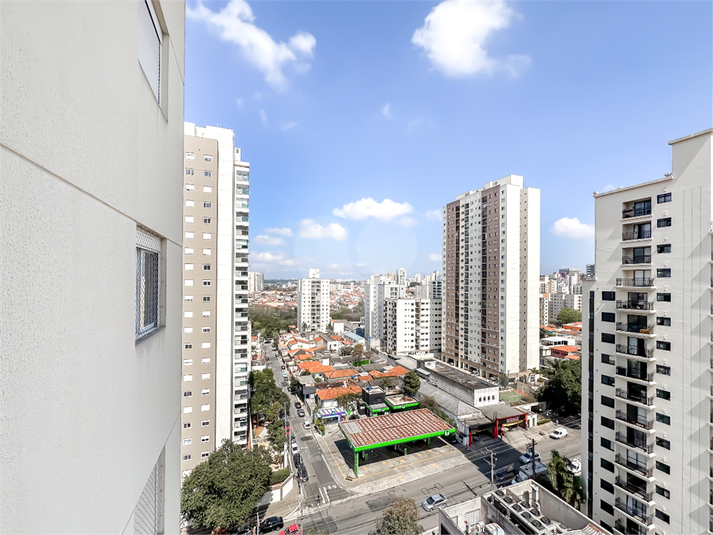 Foto REO1183062