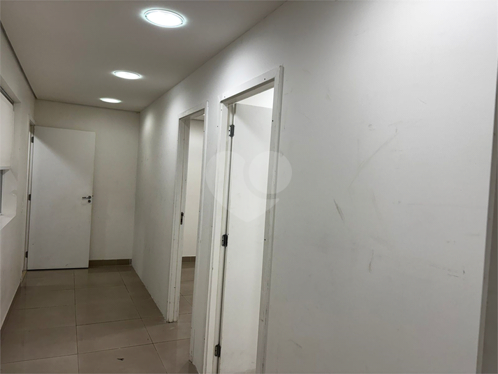 Foto REO1183067