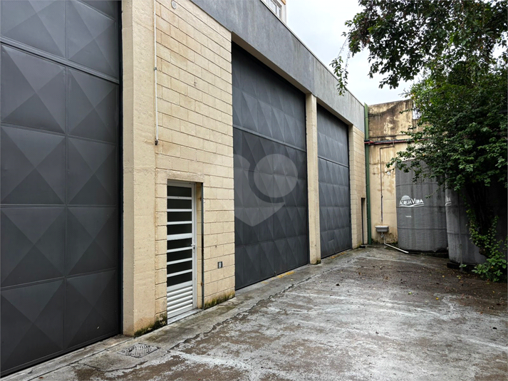 Foto REO1183067