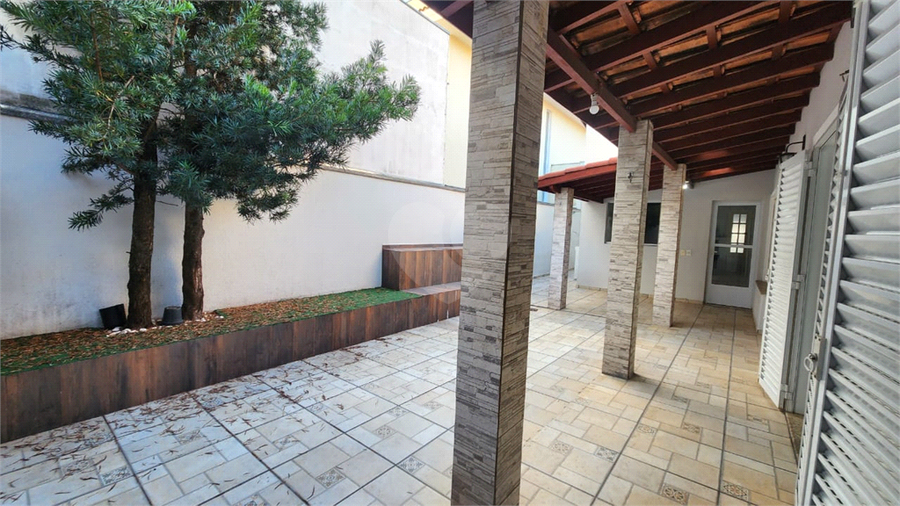 Foto REO1183086