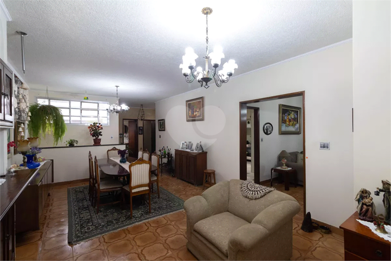 Foto REO1183089