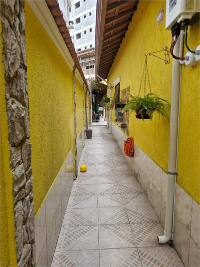 Foto REO1183092