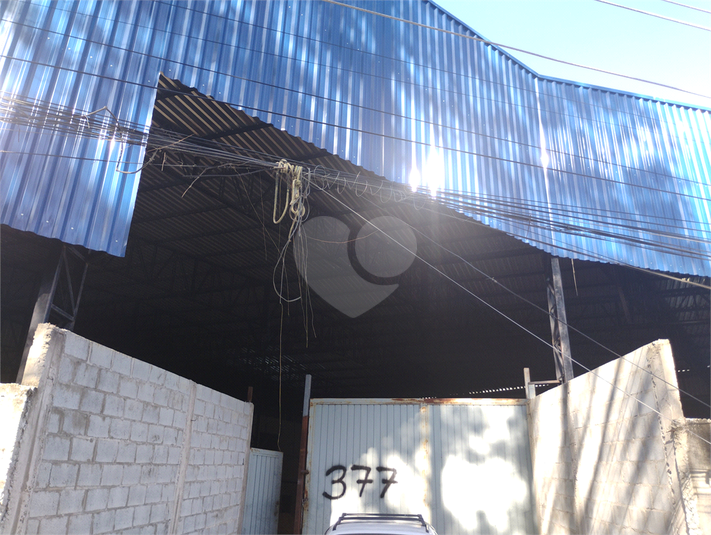 Foto REO1183133