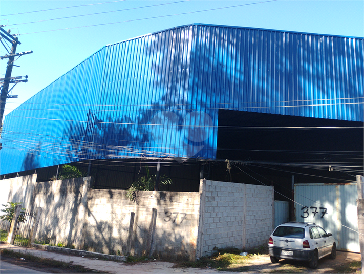 Foto REO1183133
