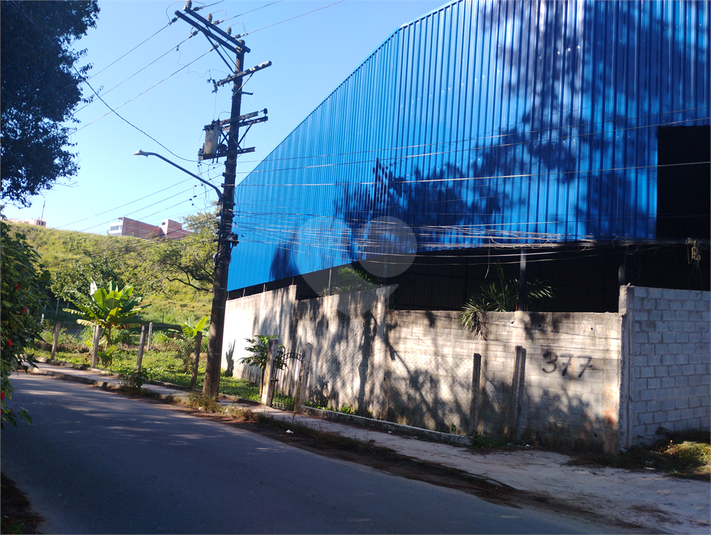 Foto REO1183133