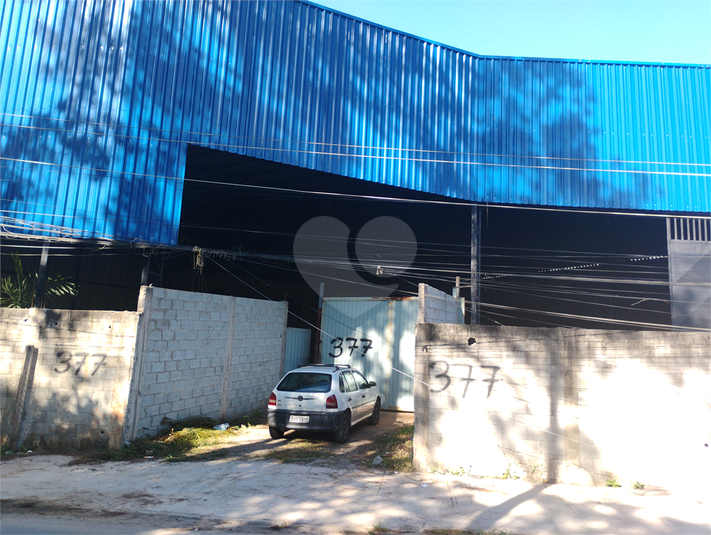Foto REO1183133