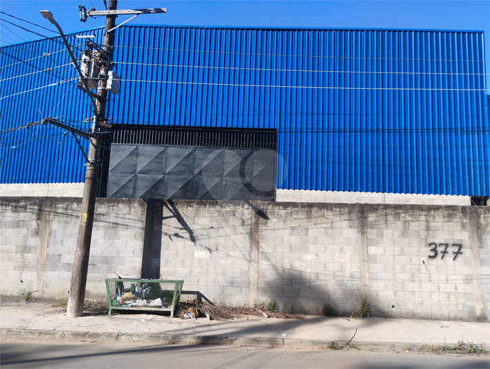 Foto REO1183133