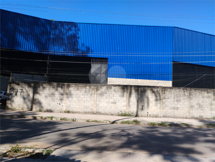 Foto REO1183133