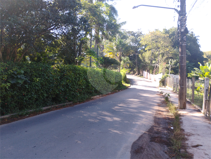 Foto REO1183133
