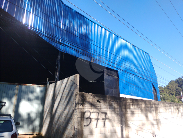 Foto REO1183133