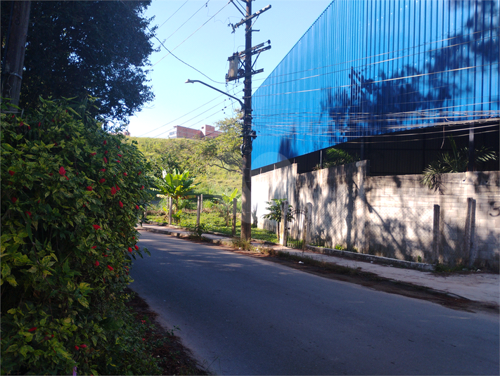Foto REO1183133