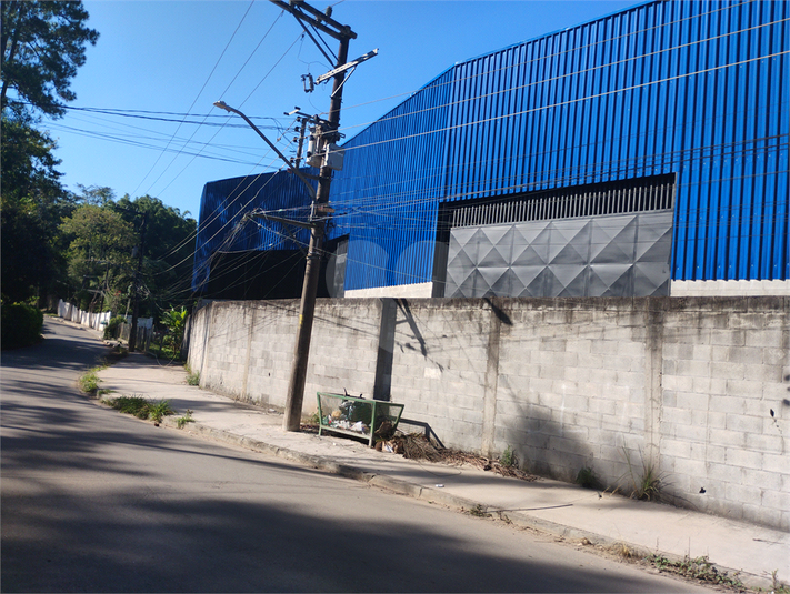 Foto REO1183133