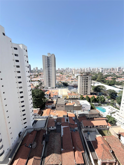 Foto REO1183142