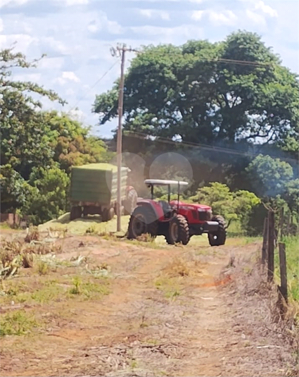 Foto REO1183147