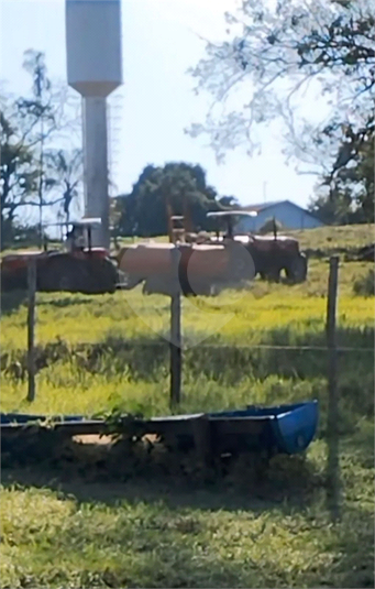 Foto REO1183147
