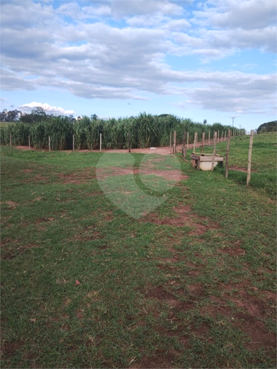 Foto REO1183147