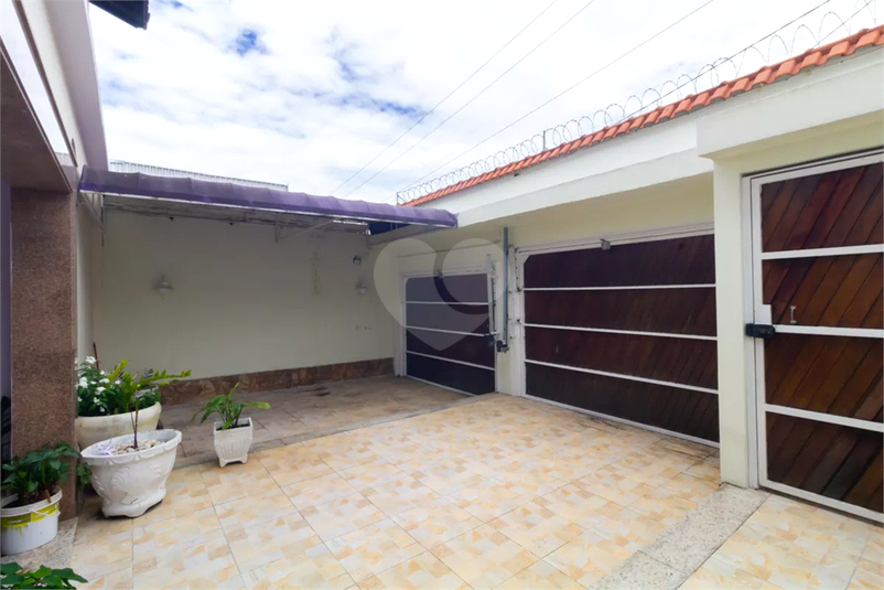 Foto REO1183148