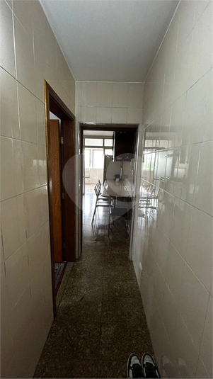 Foto REO1183153