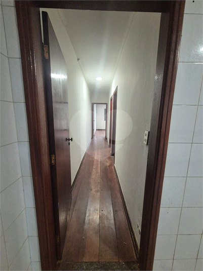 Foto REO1183159
