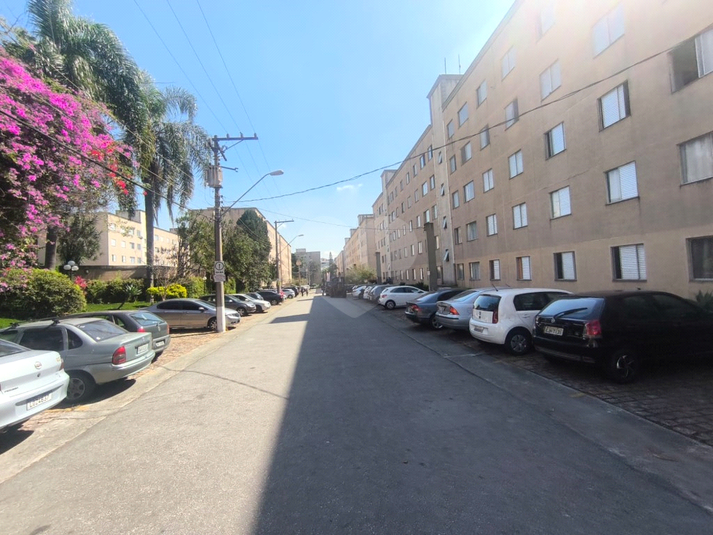 Foto REO1183165