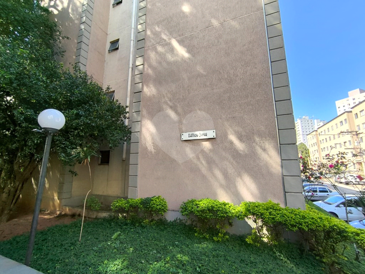 Foto REO1183165