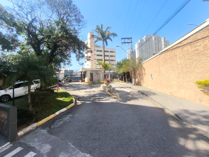 Foto REO1183165
