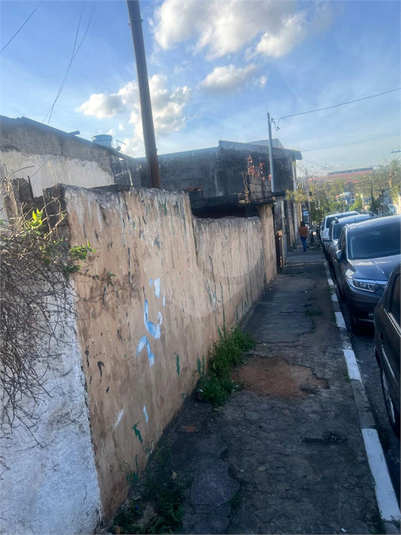 Foto REO1183169