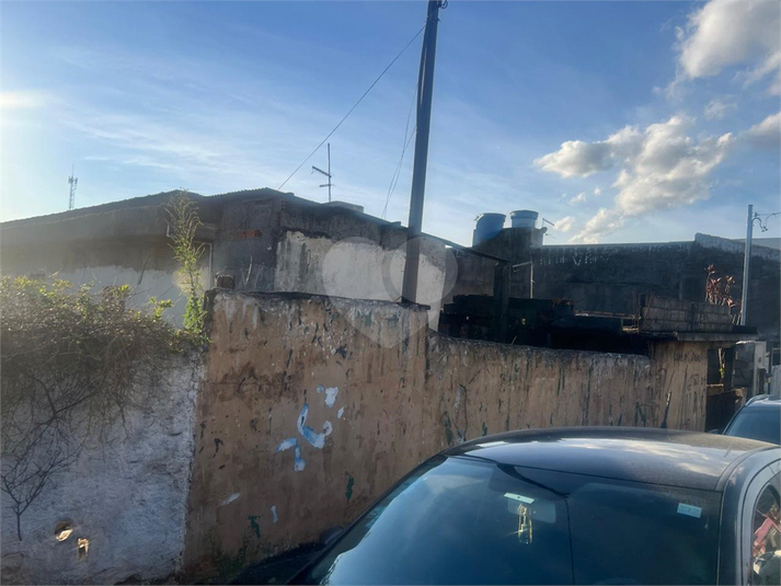 Foto REO1183169