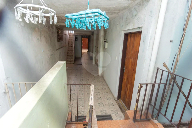 Foto REO1183171
