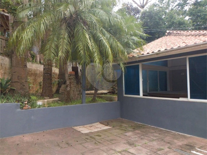 Foto REO1183180