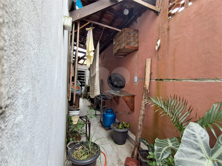 Foto REO1183188