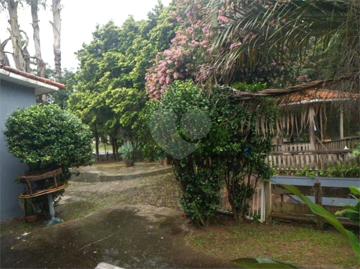 Foto REO1183193
