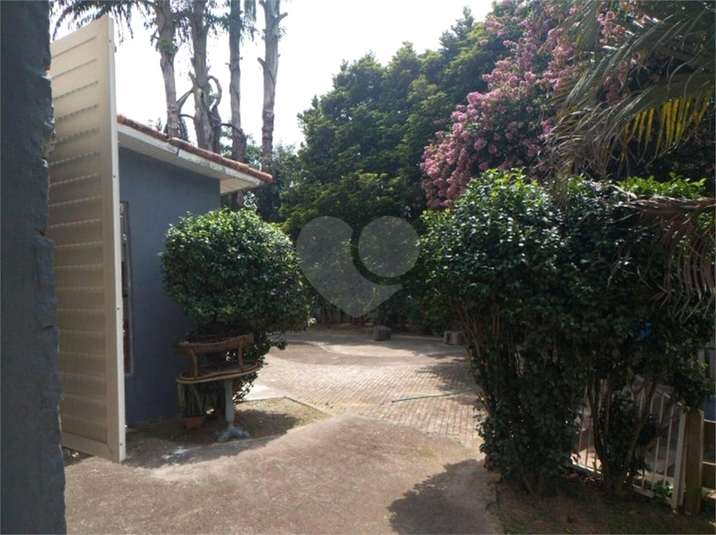 Foto REO1183193